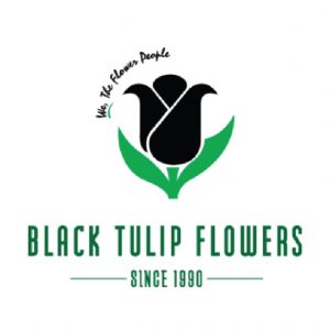 Black Tulip Flowers